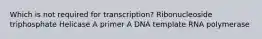 Which is not required for transcription? Ribonucleoside triphosphate Helicase A primer A DNA template RNA polymerase