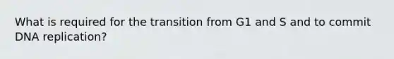 What is required for the transition from G1 and S and to commit DNA replication?