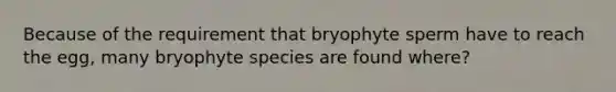 Because of the requirement that bryophyte sperm have to reach the egg, many bryophyte species are found where?