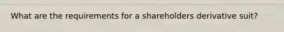 What are the requirements for a shareholders derivative suit?