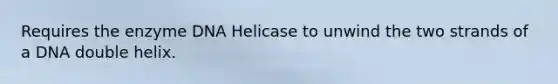 Requires the enzyme DNA Helicase to unwind the two strands of a DNA double helix.