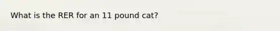 What is the RER for an 11 pound cat?