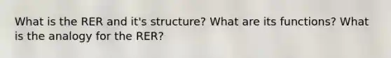 What is the RER and it's structure? What are its functions? What is the analogy for the RER?