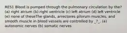 RES1 Blood is pumped through the pulmonary circulation by the? (a) right atrium (b) right ventricle (c) left atrium (d) left ventricle (e) none of theseThe glands, arrectores pilorum muscles, and smooth muscle in blood vessels are controlled by _?_. (a) autonomic nerves (b) somatic nerves