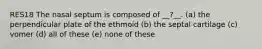 RES18 The nasal septum is composed of __?__. (a) the perpendicular plate of the ethmoid (b) the septal cartilage (c) vomer (d) all of these (e) none of these