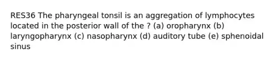 RES36 The pharyngeal tonsil is an aggregation of lymphocytes located in the posterior wall of the ? (a) oropharynx (b) laryngopharynx (c) nasopharynx (d) auditory tube (e) sphenoidal sinus