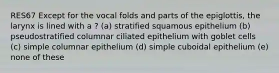 RES67 Except for the vocal folds and parts of the epiglottis, the larynx is lined with a ? (a) stratified squamous epithelium (b) pseudostratified columnar ciliated epithelium with goblet cells (c) simple columnar epithelium (d) simple cuboidal epithelium (e) none of these