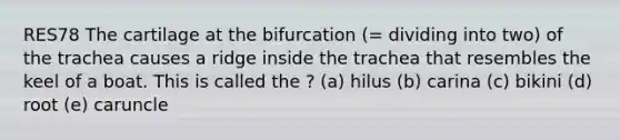 RES78 The cartilage at the bifurcation (= dividing into two) of the trachea causes a ridge inside the trachea that resembles the keel of a boat. This is called the ? (a) hilus (b) carina (c) bikini (d) root (e) caruncle