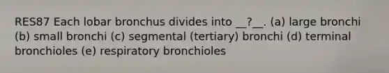 RES87 Each lobar bronchus divides into __?__. (a) large bronchi (b) small bronchi (c) segmental (tertiary) bronchi (d) terminal bronchioles (e) respiratory bronchioles