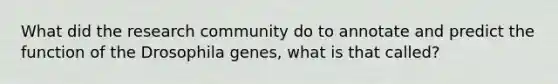 What did the research community do to annotate and predict the function of the Drosophila genes, what is that called?