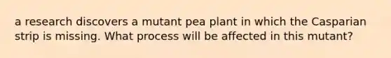 a research discovers a mutant pea plant in which the Casparian strip is missing. What process will be affected in this mutant?