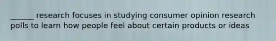 ______ research focuses in studying consumer opinion research polls to learn how people feel about certain products or ideas