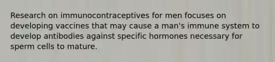 Research on immunocontraceptives for men focuses on developing vaccines that may cause a man's immune system to develop antibodies against specific hormones necessary for sperm cells to mature.