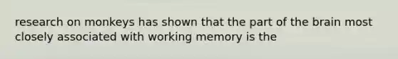 research on monkeys has shown that the part of the brain most closely associated with working memory is the