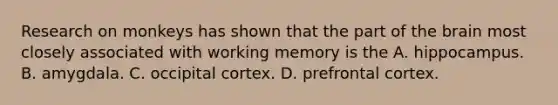 Research on monkeys has shown that the part of the brain most closely associated with working memory is the A. hippocampus. B. amygdala. C. occipital cortex. D. prefrontal cortex.