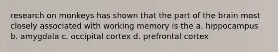 research on monkeys has shown that the part of the brain most closely associated with working memory is the a. hippocampus b. amygdala c. occipital cortex d. prefrontal cortex