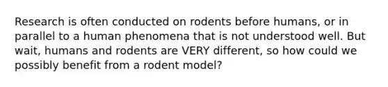 Research is often conducted on rodents before humans, or in parallel to a human phenomena that is not understood well. But wait, humans and rodents are VERY different, so how could we possibly benefit from a rodent model?