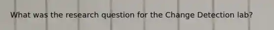 What was the research question for the Change Detection lab?