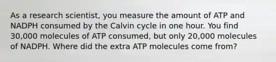 As a research scientist, you measure the amount of ATP and NADPH consumed by the Calvin cycle in one hour. You find 30,000 molecules of ATP consumed, but only 20,000 molecules of NADPH. Where did the extra ATP molecules come from?