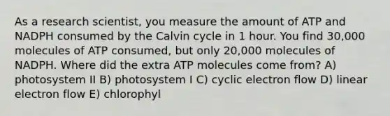 As a research scientist, you measure the amount of ATP and NADPH consumed by the Calvin cycle in 1 hour. You find 30,000 molecules of ATP consumed, but only 20,000 molecules of NADPH. Where did the extra ATP molecules come from? A) photosystem II B) photosystem I C) cyclic electron flow D) linear electron flow E) chlorophyl