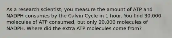 As a research scientist, you measure the amount of ATP and NADPH consumes by the Calvin Cycle in 1 hour. You find 30,000 molecules of ATP consumed, but only 20,000 molecules of NADPH. Where did the extra ATP molecules come from?