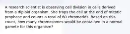 A research scientist is observing cell division in cells derived from a diploid organism. She traps the cell at the end of mitotic prophase and counts a total of 60 chromatids. Based on this count, how many chromosomes would be contained in a normal gamete for this organism?