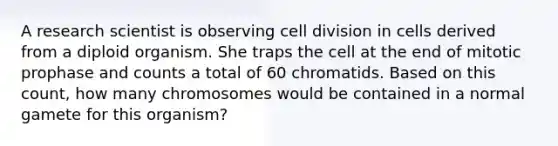 A research scientist is observing <a href='https://www.questionai.com/knowledge/kjHVAH8Me4-cell-division' class='anchor-knowledge'>cell division</a> in cells derived from a diploid organism. She traps the cell at the end of mitotic prophase and counts a total of 60 chromatids. Based on this count, how many chromosomes would be contained in a normal gamete for this organism?