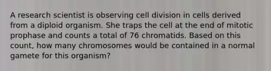 A research scientist is observing cell division in cells derived from a diploid organism. She traps the cell at the end of mitotic prophase and counts a total of 76 chromatids. Based on this count, how many chromosomes would be contained in a normal gamete for this organism?