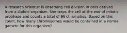 A research scientist is observing cell division in cells derived from a diploid organism. She traps the cell at the end of mitotic prophase and counts a total of 96 chromatids. Based on this count, how many chromosomes would be contained in a normal gamete for this organism?