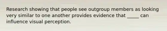 Research showing that people see outgroup members as looking very similar to one another provides evidence that _____ can influence visual perception.