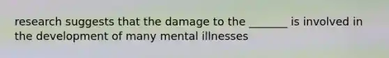 research suggests that the damage to the _______ is involved in the development of many mental illnesses