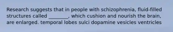 Research suggests that in people with schizophrenia, fluid-filled structures called ________, which cushion and nourish the brain, are enlarged. temporal lobes sulci dopamine vesicles ventricles