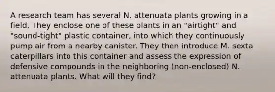 A research team has several N. attenuata plants growing in a field. They enclose one of these plants in an "airtight" and "sound-tight" plastic container, into which they continuously pump air from a nearby canister. They then introduce M. sexta caterpillars into this container and assess the expression of defensive compounds in the neighboring (non-enclosed) N. attenuata plants. What will they find?