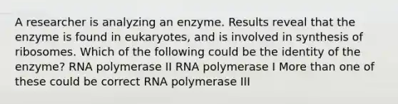 A researcher is analyzing an enzyme. Results reveal that the enzyme is found in eukaryotes, and is involved in synthesis of ribosomes. Which of the following could be the identity of the enzyme? RNA polymerase II RNA polymerase I <a href='https://www.questionai.com/knowledge/keWHlEPx42-more-than' class='anchor-knowledge'>more than</a> one of these could be correct RNA polymerase III