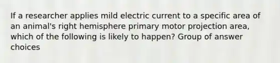 If a researcher applies mild electric current to a specific area of an animal's right hemisphere primary motor projection area, which of the following is likely to happen? Group of answer choices