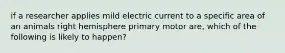 if a researcher applies mild electric current to a specific area of an animals right hemisphere primary motor are, which of the following is likely to happen?