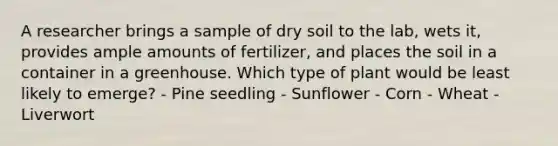 A researcher brings a sample of dry soil to the lab, wets it, provides ample amounts of fertilizer, and places the soil in a container in a greenhouse. Which type of plant would be least likely to emerge? - Pine seedling - Sunflower - Corn - Wheat - Liverwort