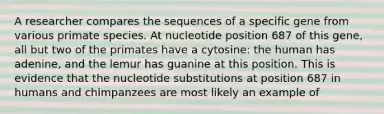 A researcher compares the sequences of a specific gene from various primate species. At nucleotide position 687 of this gene, all but two of the primates have a cytosine: the human has adenine, and the lemur has guanine at this position. This is evidence that the nucleotide substitutions at position 687 in humans and chimpanzees are most likely an example of