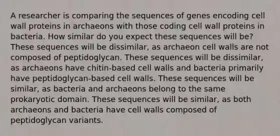 A researcher is comparing the sequences of genes encoding cell wall proteins in archaeons with those coding cell wall proteins in bacteria. How similar do you expect these sequences will be? These sequences will be dissimilar, as archaeon cell walls are not composed of peptidoglycan. These sequences will be dissimilar, as archaeons have chitin-based cell walls and bacteria primarily have peptidoglycan-based cell walls. These sequences will be similar, as bacteria and archaeons belong to the same prokaryotic domain. These sequences will be similar, as both archaeons and bacteria have cell walls composed of peptidoglycan variants.