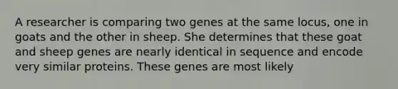 A researcher is comparing two genes at the same locus, one in goats and the other in sheep. She determines that these goat and sheep genes are nearly identical in sequence and encode very similar proteins. These genes are most likely