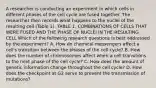 A researcher is conducting an experiment in which cells in different phases of the cell cycle are fused together. The researcher then records what happens to the nuclei of the resulting cell (Table 1). TABLE 1. COMBINATIONS OF CELLS THAT WERE FUSED AND THE PHASE OF NUCLEI IN THE RESULTING CELL Which of the following research questions is best addressed by the experiment? A. How do chemical messengers affect a cell's transition between the phases of the cell cycle? B. How does the number of chromosomes affect when a cell transitions to the next phase of the cell cycle? C. How does the amount of genetic information change throughout the cell cycle? D. How does the checkpoint at G2 serve to prevent the transmission of mutations?