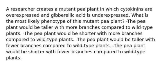 A researcher creates a mutant pea plant in which cytokinins are overexpressed and gibberellic acid is underexpressed. What is the most likely phenotype of this mutant pea plant? -The pea plant would be taller with more branches compared to wild-type plants. -The pea plant would be shorter with more branches compared to wild-type plants. -The pea plant would be taller with fewer branches compared to wild-type plants. -The pea plant would be shorter with fewer branches compared to wild-type plants.