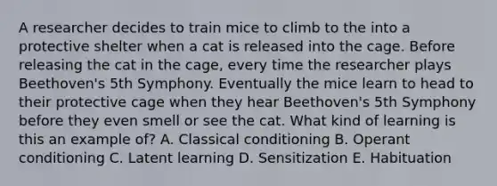 A researcher decides to train mice to climb to the into a protective shelter when a cat is released into the cage. Before releasing the cat in the cage, every time the researcher plays Beethoven's 5th Symphony. Eventually the mice learn to head to their protective cage when they hear Beethoven's 5th Symphony before they even smell or see the cat. What kind of learning is this an example of? A. Classical conditioning B. Operant conditioning C. Latent learning D. Sensitization E. Habituation