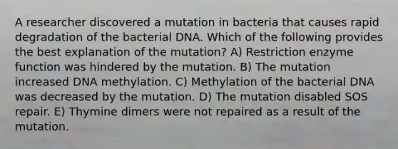 A researcher discovered a mutation in bacteria that causes rapid degradation of the bacterial DNA. Which of the following provides the best explanation of the mutation? A) Restriction enzyme function was hindered by the mutation. B) The mutation increased DNA methylation. C) Methylation of the bacterial DNA was decreased by the mutation. D) The mutation disabled SOS repair. E) Thymine dimers were not repaired as a result of the mutation.