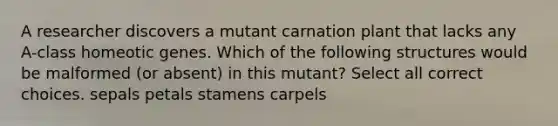 A researcher discovers a mutant carnation plant that lacks any A-class homeotic genes. Which of the following structures would be malformed (or absent) in this mutant? Select all correct choices. sepals petals stamens carpels