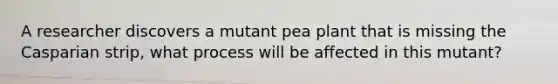 A researcher discovers a mutant pea plant that is missing the Casparian strip, what process will be affected in this mutant?