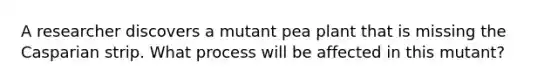 A researcher discovers a mutant pea plant that is missing the Casparian strip. What process will be affected in this mutant?