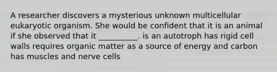 A researcher discovers a mysterious unknown multicellular eukaryotic organism. She would be confident that it is an animal if she observed that it __________. is an autotroph has rigid cell walls requires organic matter as a source of energy and carbon has muscles and nerve cells