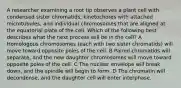 A researcher examining a root tip observes a plant cell with condensed sister chromatids, kinetochores with attached microtubules, and individual chromosomes that are aligned at the equatorial plate of the cell. Which of the following best describes what the next process will be in the cell? A Homologous chromosomes (each with two sister chromatids) will move toward opposite poles of the cell. B Paired chromatids will separate, and the new daughter chromosomes will move toward opposite poles of the cell. C The nuclear envelope will break down, and the spindle will begin to form. D The chromatin will decondense, and the daughter cell will enter interphase.