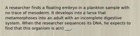 A researcher finds a floating embryo in a plankton sample with no trace of mesoderm. It develops into a larva that metamorphoses into an adult with an incomplete digestive system. When the researcher sequences its DNA, he expects to find that this organism is a(n) ___.